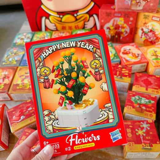 过年新配置！不重复❗ 到手14盒积木 59.9元💰 一大箱14款全部是品牌积木工厂，一天拼一盒，过年轻松带娃！  商品图5