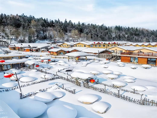 春节6日【东北雪国】【北京大巴直发】雾凇岛-雪乡-雪谷-林海雪原穿越-威虎山-哈尔滨冰雪大世界 商品图6