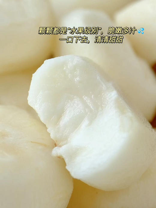 【荔浦马蹄】皮薄肉厚，肉质清脆，细腻无渣，甜嫩多汁贼好吃！而且，新鲜采挖，还带着泥土呢，比超市买的那些新鲜多了！用水一洗，外皮就亮闪闪的，削皮后更是白白净净，看着就让人想咬一口！ 商品图8