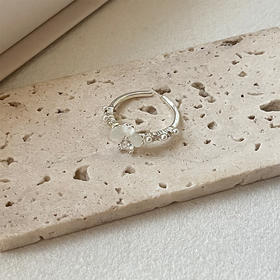 气质四叶草小众戒指 -纪念日百货门店同款 162847503