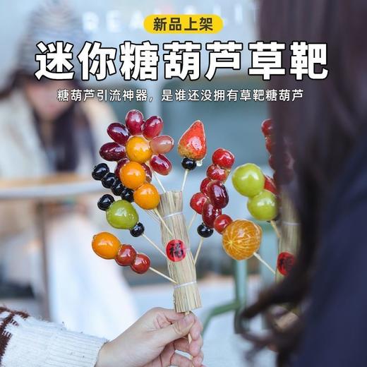 （2-5个）创意冰糖葫芦迷你草靶 夜市稻草小串网红 新年儿童礼物 商品图1