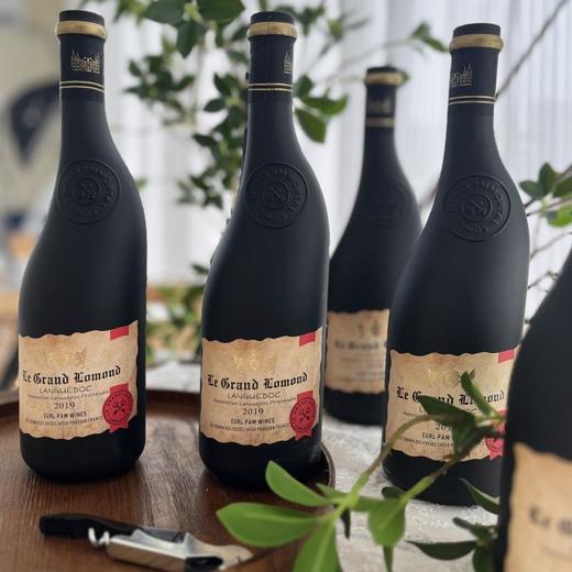 法国进口歪脖子洛蒙德干红葡萄酒 商品图3