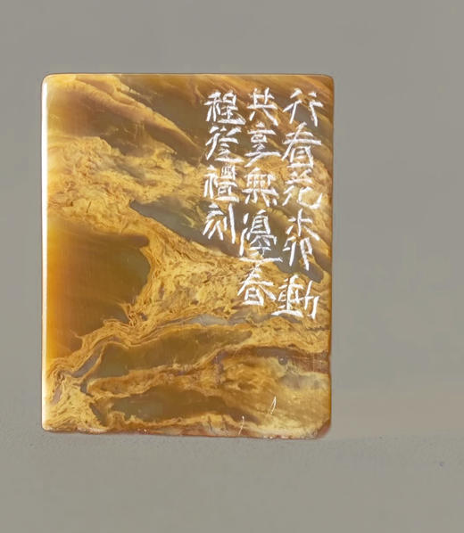 “行看花柳动，共享无边春” 程从礼 中书协会员、篆刻家 特别合作定制印章 商品图9