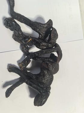 【九蒸九晒野生灵芝（泡酒佳品，数量有限）（1斤装）】