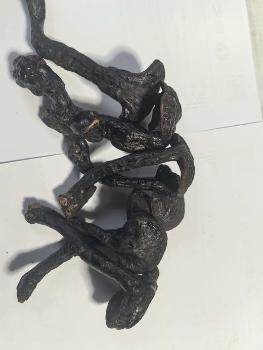 【九蒸九晒野生灵芝（泡酒佳品，数量有限）（1斤装）】 商品图0