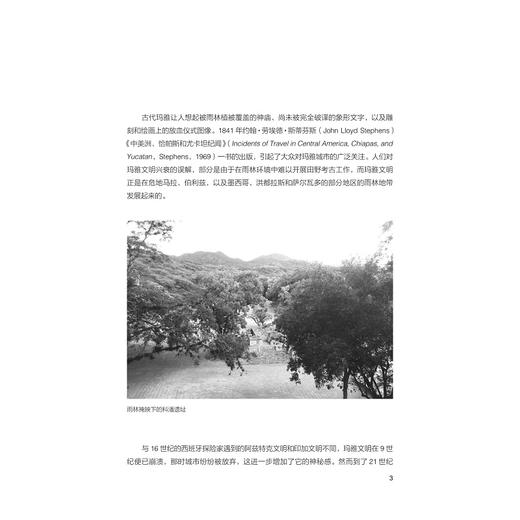 神庙、象形文字与失落的文明：古玛雅世界/世界古文明译丛/海瑟·艾琳·麦基洛普 著/浙江大学出版社 商品图1