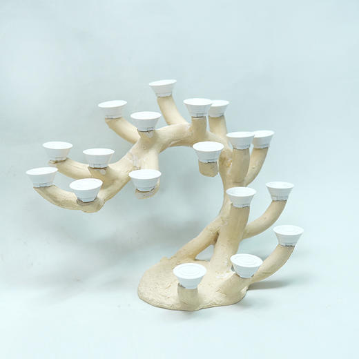 50缸枝状烧制造景 商品图7