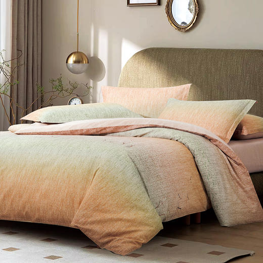 鑫缘 全棉印花磨毛四件套 DMD4418* 商品图13