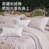 新疆长绒棉60支印花四件套(梦悠) 商品缩略图1