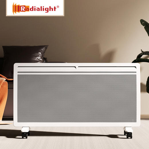 radialight取暖器家用节能省电立式暖风机速热恒温电暖气片NDLX 商品图0