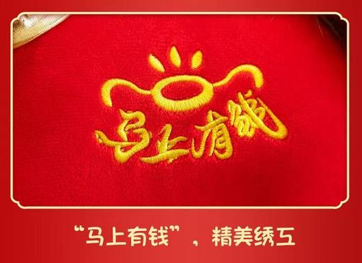 非义乌款！！2026马上有钱  错版哭哭小马   25CM马年吉祥玩具公仔 商品图6