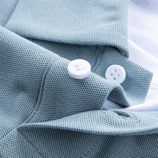 罗蒙男士春秋假两件长袖Polo衫纯色翻领百搭休闲通勤男上衣 商品图7