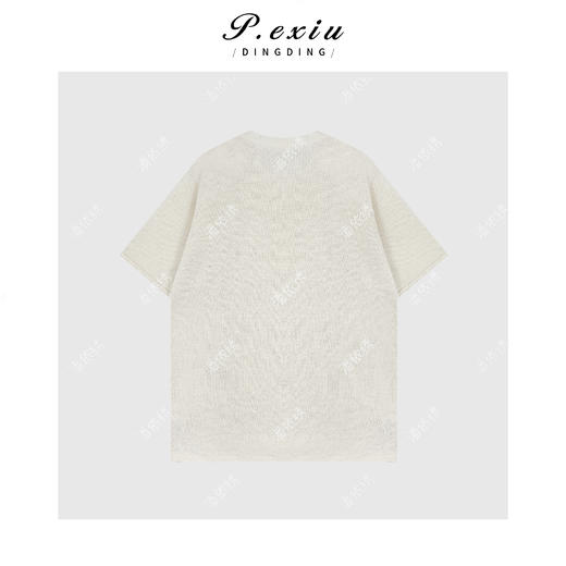 04-3潘依绣丁丁宠粉复古松弛感圆领针织短袖T恤Q49821 商品图1