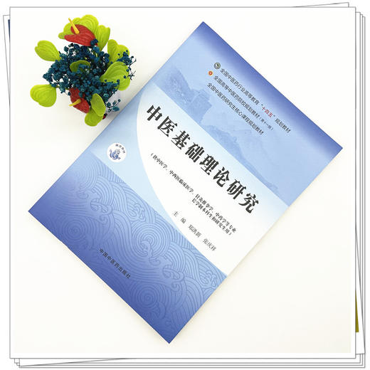 中医基础理论研究 十四五规划教材全国中医药研究生核心课程规划教材 郑洪新 张庆祥 主编 9787513296489 中国中医药出版社 商品图2