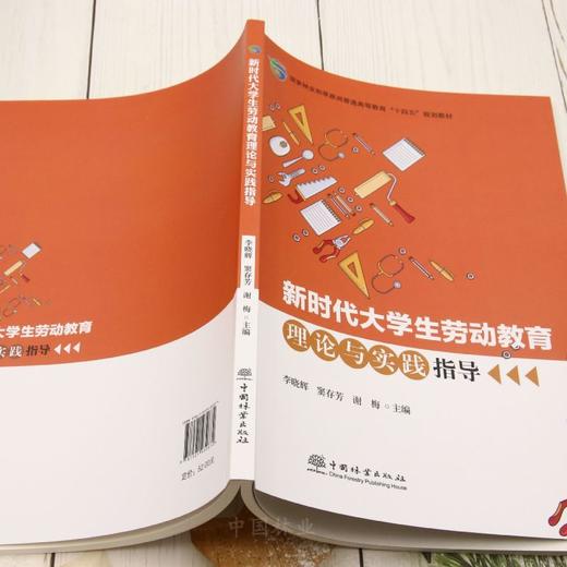 E新时代大学生劳动教育理论与实践指导 &3287 商品图3