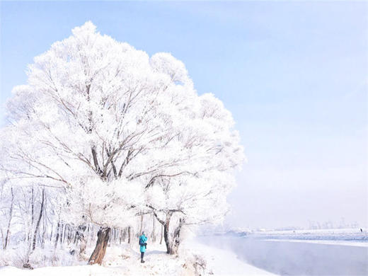 春节6日【东北雪国】【北京大巴直发】雾凇岛-雪乡-雪谷-林海雪原穿越-威虎山-哈尔滨冰雪大世界 商品图1