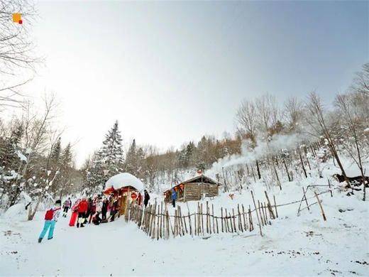 春节6日【东北雪国】【北京大巴直发】雾凇岛-雪乡-雪谷-林海雪原穿越-威虎山-哈尔滨冰雪大世界 商品图2