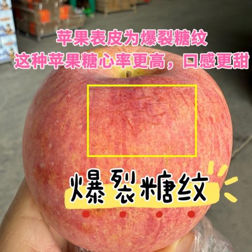 山西羊奶苹果【顺丰/京东快递发货，收到后冷藏保存，口感更佳】 商品图3