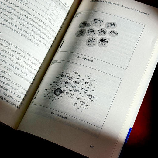 全球中文发展的机遇与挑战（全球中文发展研究 第六辑） 商品图3