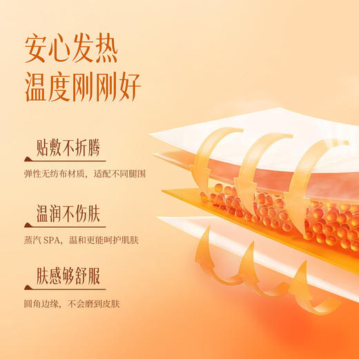 胡庆余堂草本红花暖膝精油贴 商品图4