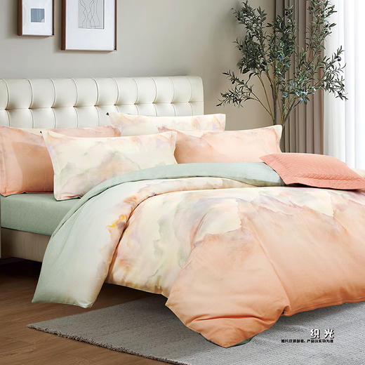 鑫缘 全棉印花磨毛四件套 DMD4418* 商品图10