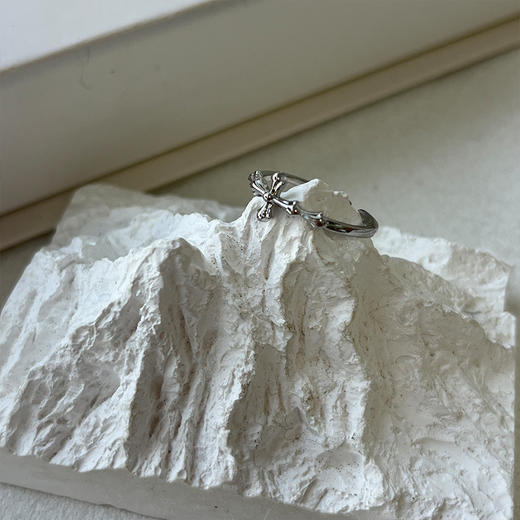 休闲简约戒指-纪念日百货门店同款168645718 商品图1