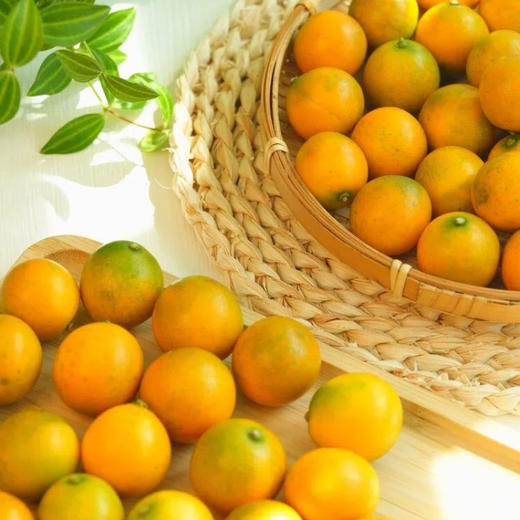 融安滑皮金桔二代 长在树上的“小糖炮”，从皮甜到心，水嫩香甜不涩口，连皮一起吃，水嫩香甜不涩 商品图8