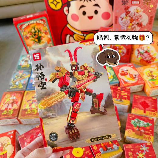 过年新配置！不重复❗ 到手14盒积木 59.9元💰 一大箱14款全部是品牌积木工厂，一天拼一盒，过年轻松带娃！  商品图7