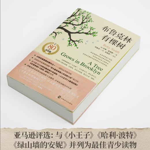 布鲁克林有棵树（80周年名家全译本）贝蒂·史密斯 与《小王子》《夏洛的网》《哈利·波特》《绿山墙的安妮》并列的最佳青少年读物 商品图1