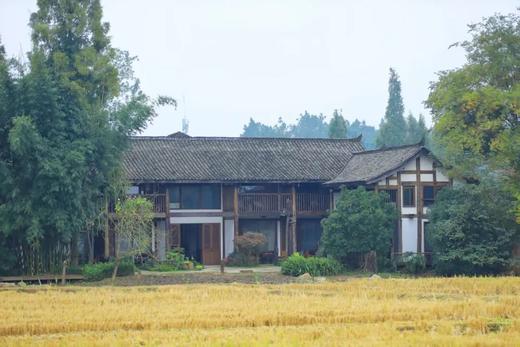 在成都周边包个院子过年！住进川西林盘艺术民宿，过“村居”日子，喂萌宠、田野小火车、植物拓染、手工泡菜……快带上家人，在稻乡渔歌感受乡野耕食慢生活，适合2、3家人组队哦~ 商品图7