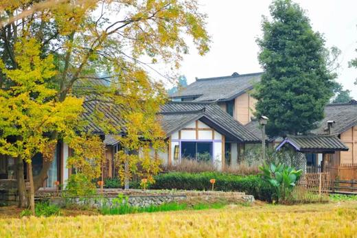 在成都周边包个院子过年！住进川西林盘艺术民宿，过“村居”日子，喂萌宠、田野小火车、植物拓染、手工泡菜……快带上家人，在稻乡渔歌感受乡野耕食慢生活，适合2、3家人组队哦~ 商品图10