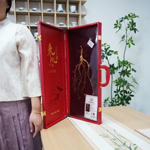 15年长白山野生人参 礼盒装 带证书 商品图0