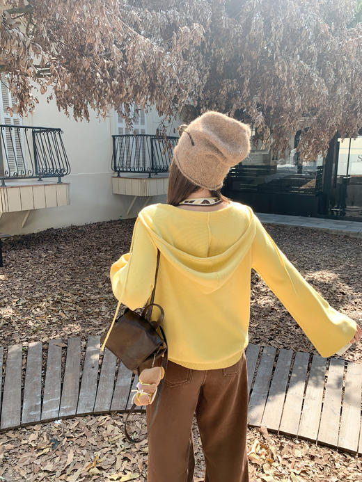 <曾小咸推荐>现货秒杀 ！微信超特价！韩系V领连帽针织衫 日常209.99 立减110 秒杀99.99！！条纹吊带背心 日常99.99 立减60 秒杀39.99！！ 商品图8