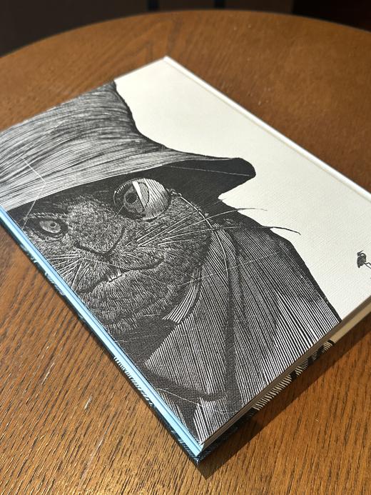 《爱丽丝漫游奇境与穿越镜中世界》通贩版 商品图4