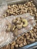 【坚果系列】越南带皮腰果，富有嚼劲，个头饱满，松脆香浓，越吃越好吃！ 商品缩略图0