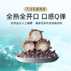 自营（万泽参源）-品质首选 HACCP认证  渤海湾深海即食海参 顺丰包邮 商品缩略图3