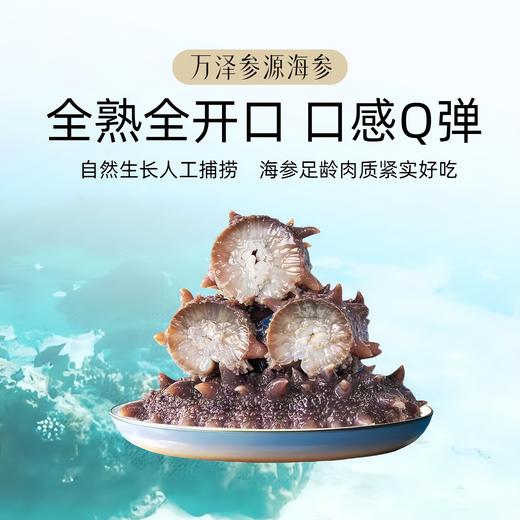 自营（万泽参源）-品质首选 HACCP认证  渤海湾深海即食海参 顺丰包邮 商品图3