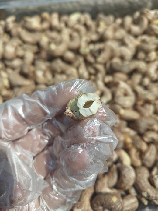 【坚果系列】越南带皮腰果，富有嚼劲，个头饱满，松脆香浓，越吃越好吃！ 商品图3