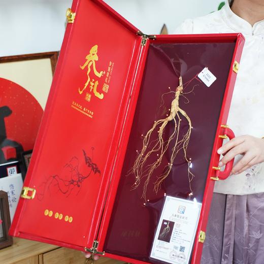 15年长白山野生人参 礼盒装 带证书 商品图1