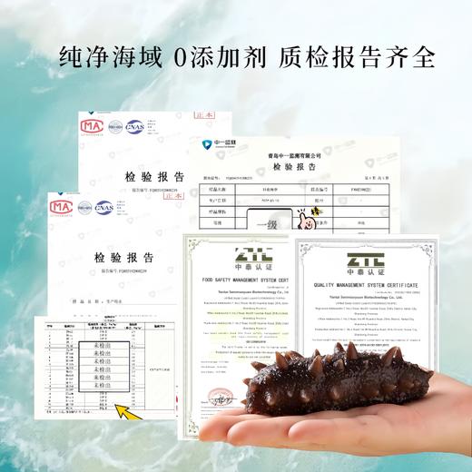 自营（万泽参源）-品质首选 HACCP认证  渤海湾深海即食海参 顺丰包邮 商品图1