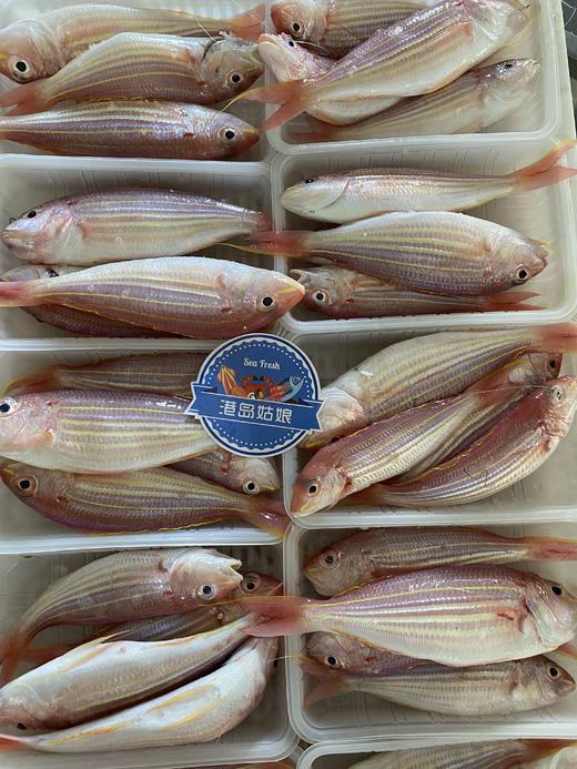 深海鱼组合【黄翅鱼+黄花鱼+金线鱼】肉质鲜美 ，高蛋白，本港靓货现发  【活冻】 商品图1