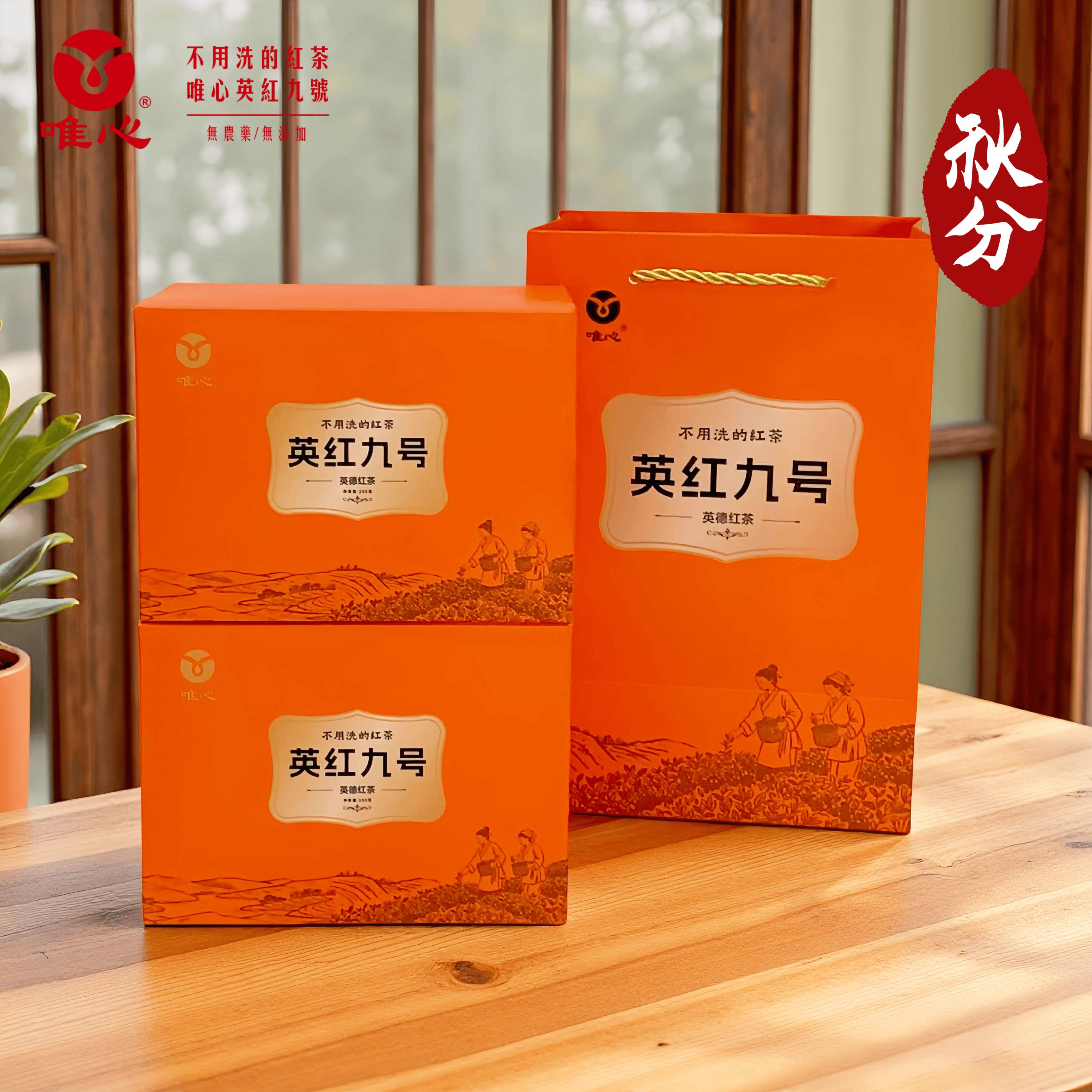 秋分英红九号  大份量 一斤装 实惠口粮茶 无添加农产品