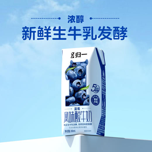 归一蓝莓风味酸牛奶200mL*12盒*2箱生牛乳发酵酸奶 商品图1