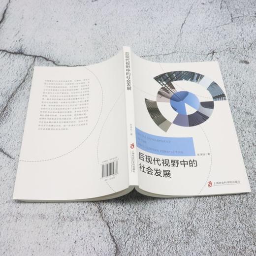 后现代视野中的社会发展 商品图3