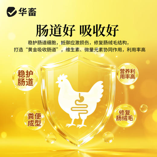 华畜禽健500g 禽用催肥促长 商品图3