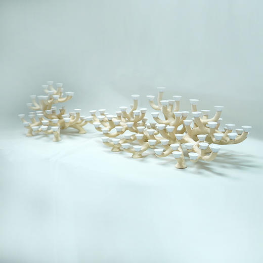 200缸枝状烧制造景 商品图13