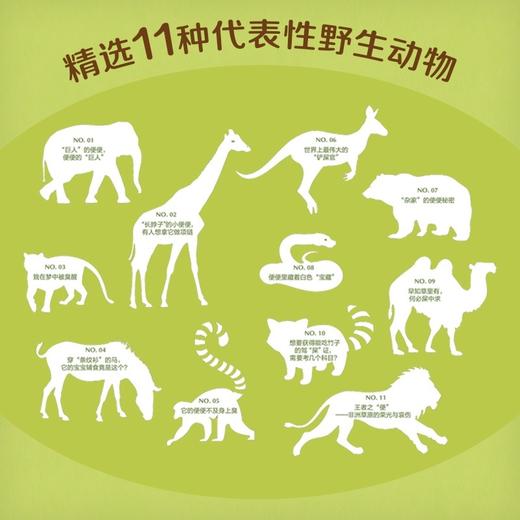 铲屎记:出发!探索野生动物的便便科学 商品图1