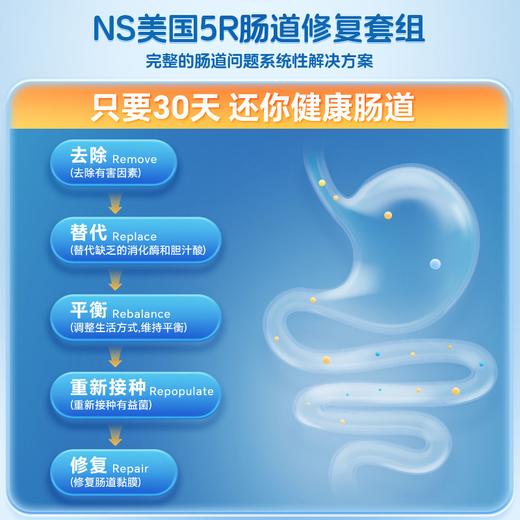 【肠道5R】综合多重天然草本小檗碱+1000亿益生菌+消化酶+纤维营养粉组合4瓶/套 NS倍能适美国 商品图6