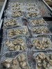 干冰海螺头，300克一盒，去壳海螺头海螺肉，干冰冷冻，极致锁鲜，口感接近鲜活，东三省包邮 商品缩略图1