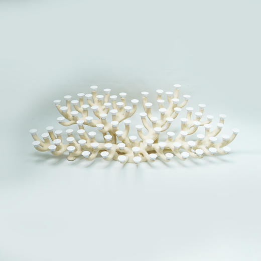 150缸枝状烧制造景 商品图9